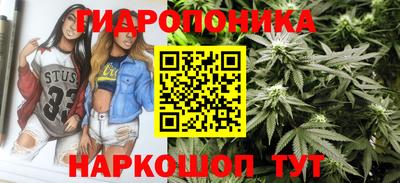 шишки Бузулук