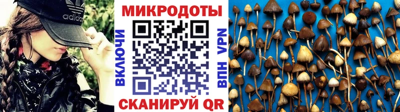 где купить наркотик  Железноводск  Псилоцибиновые грибы Psilocybine cubensis 