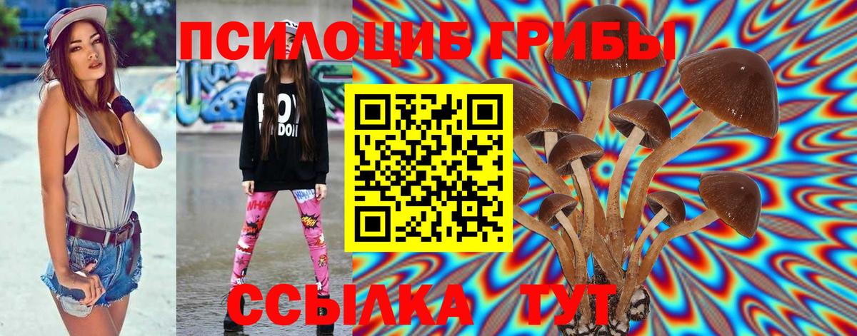 Псилоцибиновые грибы ЛСД Железноводск